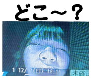 807757215