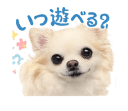 807765131