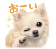 807765132
