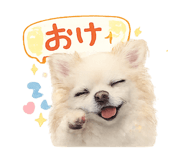 807765134