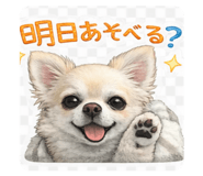 807765141