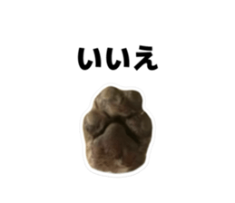807769026