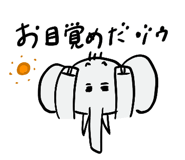 807774381