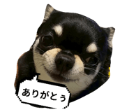 807776084