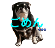 807776088