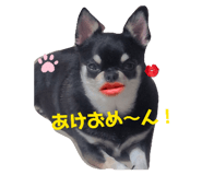 807776094