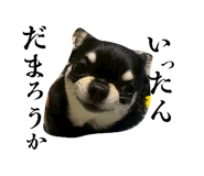 807776096
