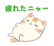 807783385