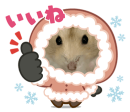 807795177