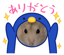 807795180