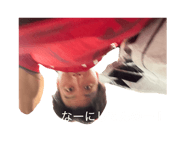 807804013