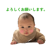 807811551