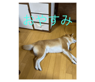 807814233