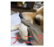 807814234