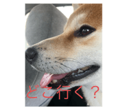 807814235