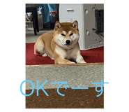 807814236