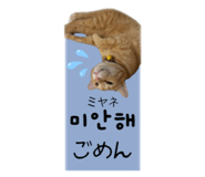 807827287