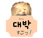 807827298