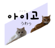 807827300