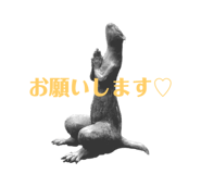 807837308
