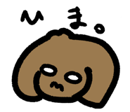807886633