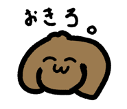 807886637
