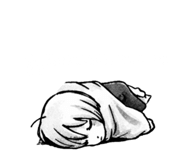 807886721