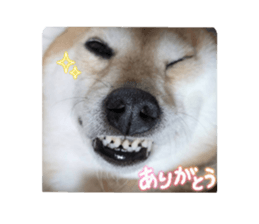 807898736