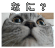 807899762