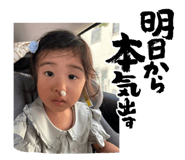 807913228