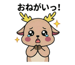 807913375