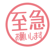 807923955