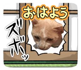 807933219
