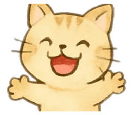 807944541