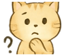 807944543