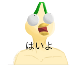 807962992