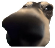 807981382