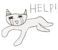 807981874