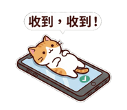 807986939