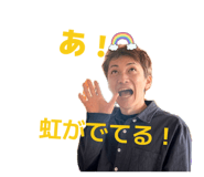 807991955