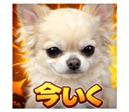 807995068