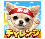 807995069