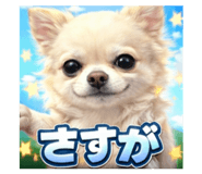 807995073