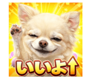 807995076