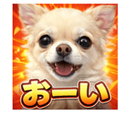 807995077