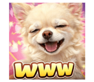 807995078