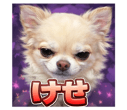 807995079