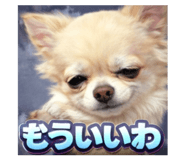 807995080