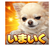 807995081
