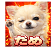 807995082